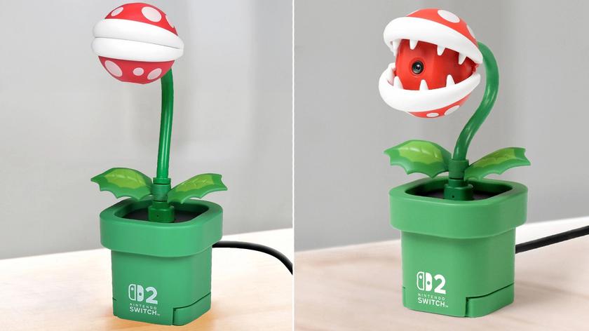 A creative accessory at an affordable price